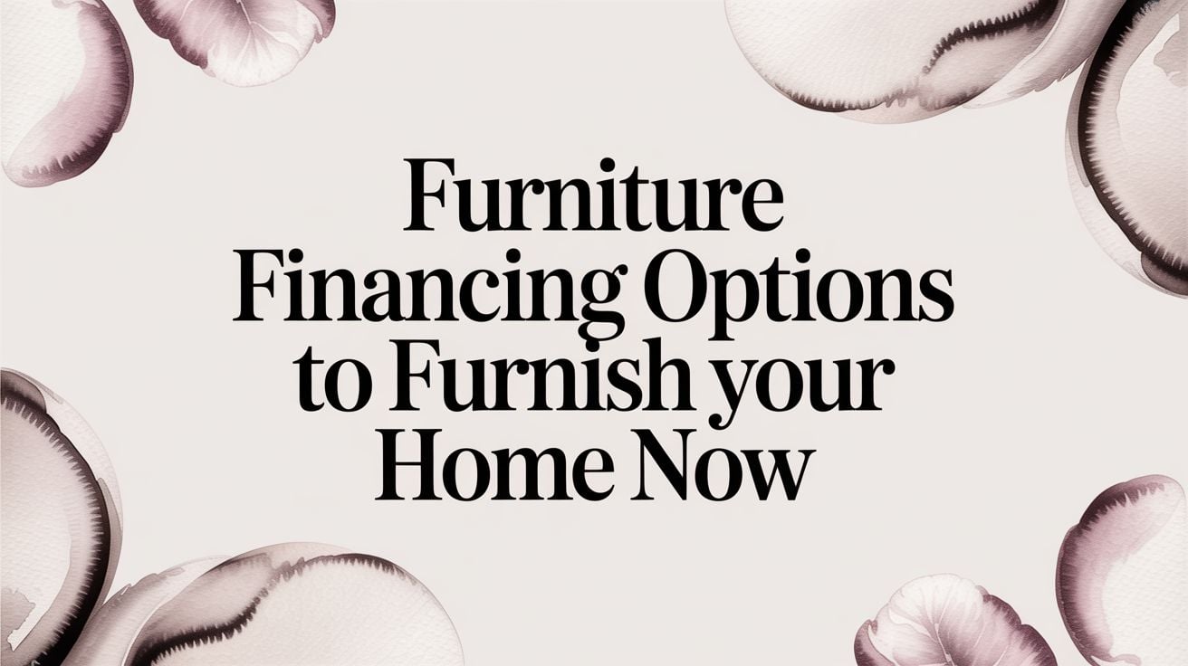 Furniture Financing Options Promotional Graphic